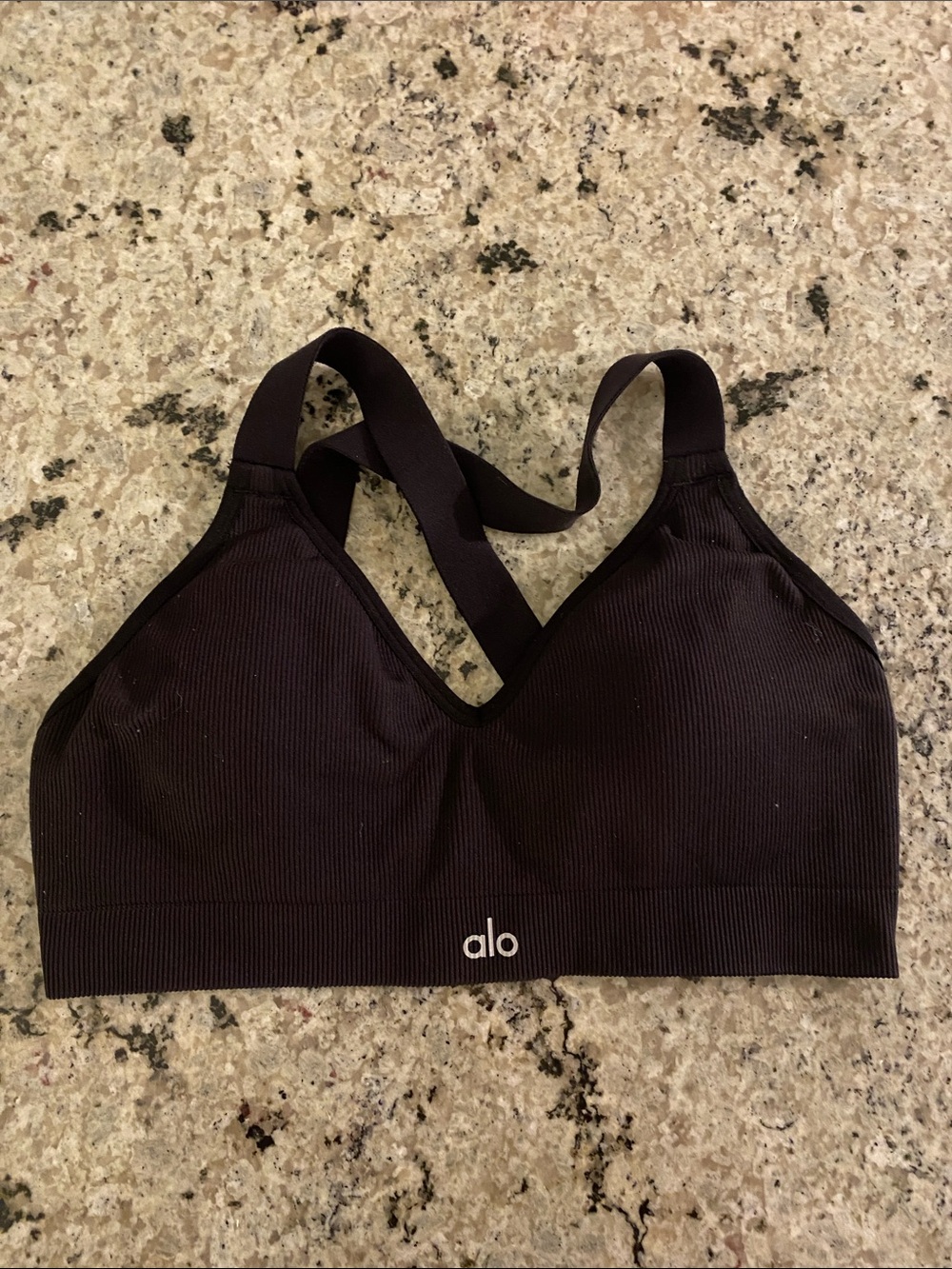 ALO Yoga Black Ribbed Sports Bra